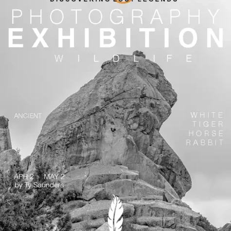 Photography-Exhibition-Ancients-Wildlife-White-Tiger-Moving-Shadow-Catcher