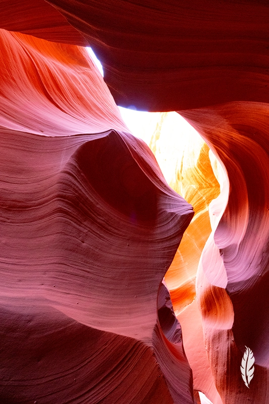 Slot Canyon Photography, Gallery Fine Art, Owl Wall Decor, Owl Canyon Prints,