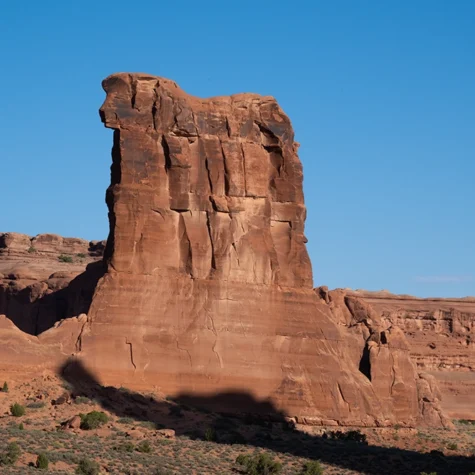 Wildlife-Photography-Sheep-Rock-Shepherd-Shadow-Catcher-6505