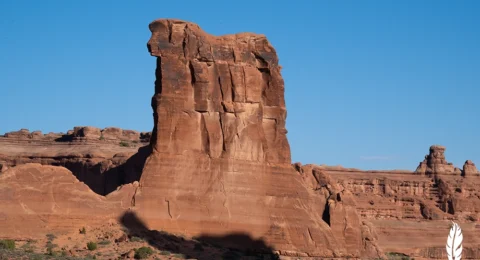 Wildlife-Photography-Sheep-Rock-Shepherd-Shadow-Catcher-6505