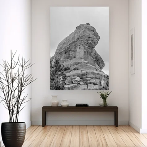 business-hallway-decor-wildlife-art-prints-white-tiger