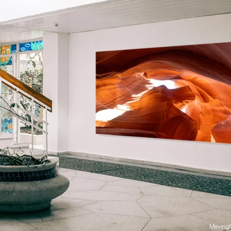 photography-lobby-wall-art-seahorse-decor-desert-water-horse