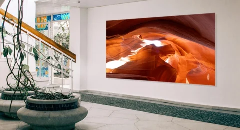 photography-lobby-wall-art-seahorse-decor-desert-water-horse