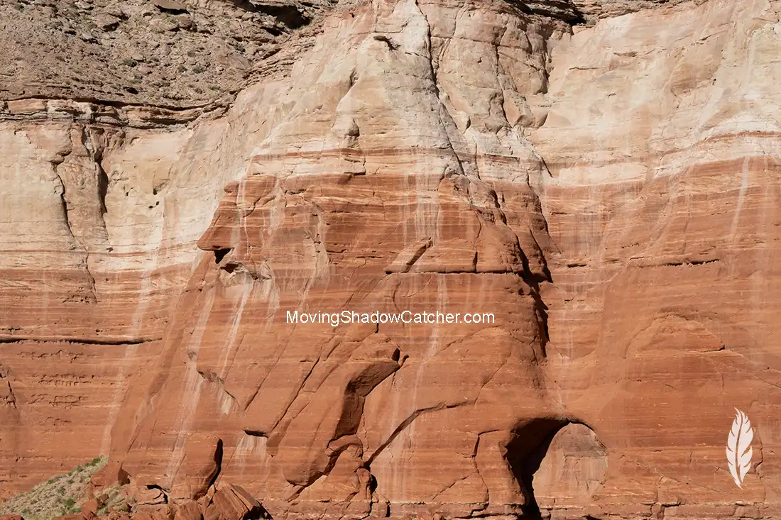 Hidden Legends, Photography, Desert Royalty, Ty Saunders