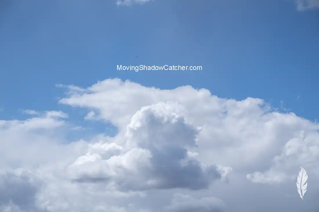 Smoke Signal, Photography Wildlife, Lion King, Cloud