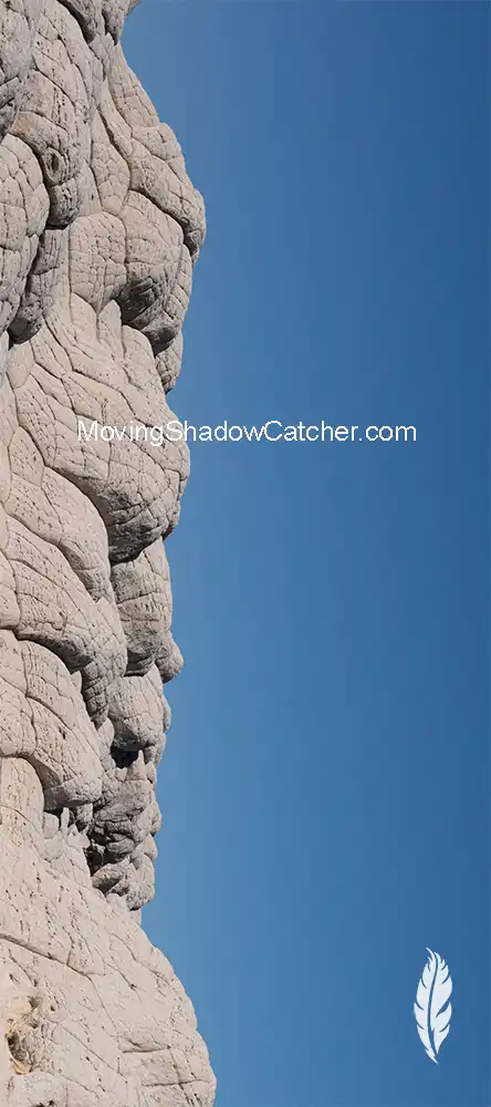 Wildlife Photography Gallery Yetis Snowman, Hidden Legend