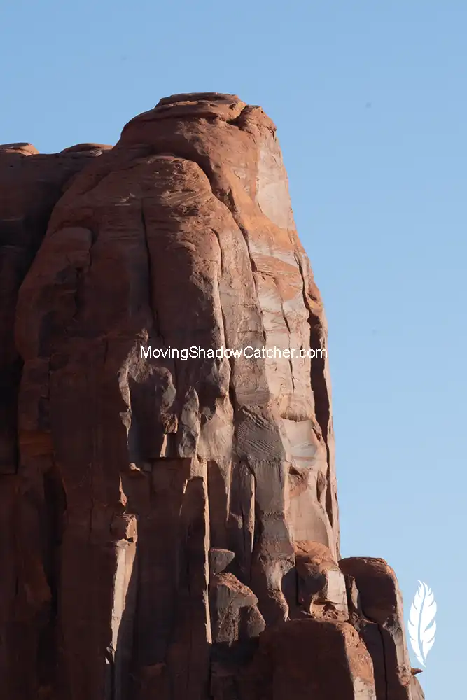 Wildlife Photography, Thunderbird, Moving Shadow Catcher